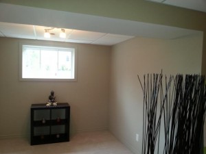 Basement4