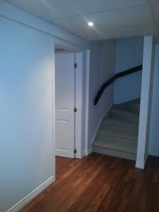 Basement6